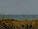 Cape Canaveral, Florida Di. 25.8.