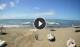 Forte dei Marmi Di. 25.8.