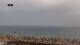 Praia da Luz Di. 25.8.