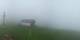 Balderschwang Di. 25.8.