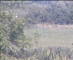 Wyk auf Föhr Di. 25.8.