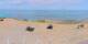 Donville-les-Bains Di. 25.8.
