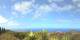 Puntagorda (La Palma) Di. 25.8.