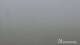 Brocken Mi. 26.8.