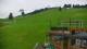 Zieleniec Mi. 26.8.