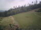 Knobelsdorf Mi. 26.8.