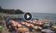 Marina di Camerota Mi. 26.8.