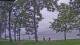 Houghton Lake, Michigan Mi. 26.8.