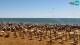 Bibione Mi. 26.8.