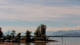 Lindau (Bodensee) Mi. 26.8.