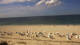 Hörnum (Sylt) Mi. 26.8.