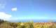 Puntagorda (La Palma) Mi. 26.8.