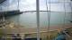 Brightlingsea Mi. 26.8.