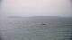 Le Lavandou Do. 27.8.