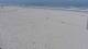 Bredene Do. 27.8.