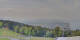 Bregenz Do. 27.8.