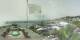 Menton Do. 27.8.