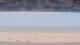 Henne Strand Do. 27.8.