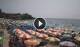 Marina di Camerota Do. 27.8.