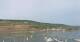 Bingen am Rhein Do. 27.8.