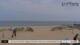 De Cocksdorp (Texel) Do. 27.8.
