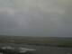 Borkum Fr. 28.8.