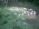 München Fr. 28.8.