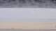 Henne Strand Fr. 28.8.