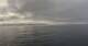 HANSEATIC nature Fr. 28.8.