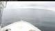 Norwegian Bliss Fr. 28.8.