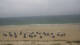 Hörnum (Sylt) Fr. 28.8.