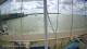 Brightlingsea Fr. 28.8.