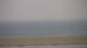Borkum Fr. 28.8.