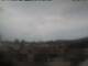 Mataro Fr. 28.8.