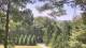 Swanton, Maryland Sa. 29.8.