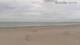 Blankenberge Sa. 29.8.
