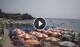 Marina di Camerota Sa. 29.8.