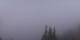 Enumclaw, Washington Sa. 29.8.