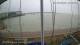 Brightlingsea Sa. 29.8.