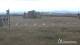 Brocken So. 30.8.