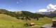 Arosa So. 30.8.