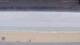 Henne Strand So. 30.8.