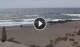 El Medano (Teneriffa) So. 30.8.