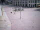 Chemnitz So. 30.8.