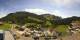 Mostelberg So. 30.8.