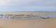 Saint-Brevin-les-Pins So. 30.8.
