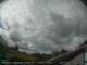 Bredfield Mo. 31.8.