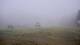 Montferrier Mo. 31.8.