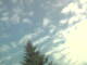 Hagenow Mo. 31.8.