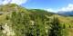 Arosa Mo. 31.8.